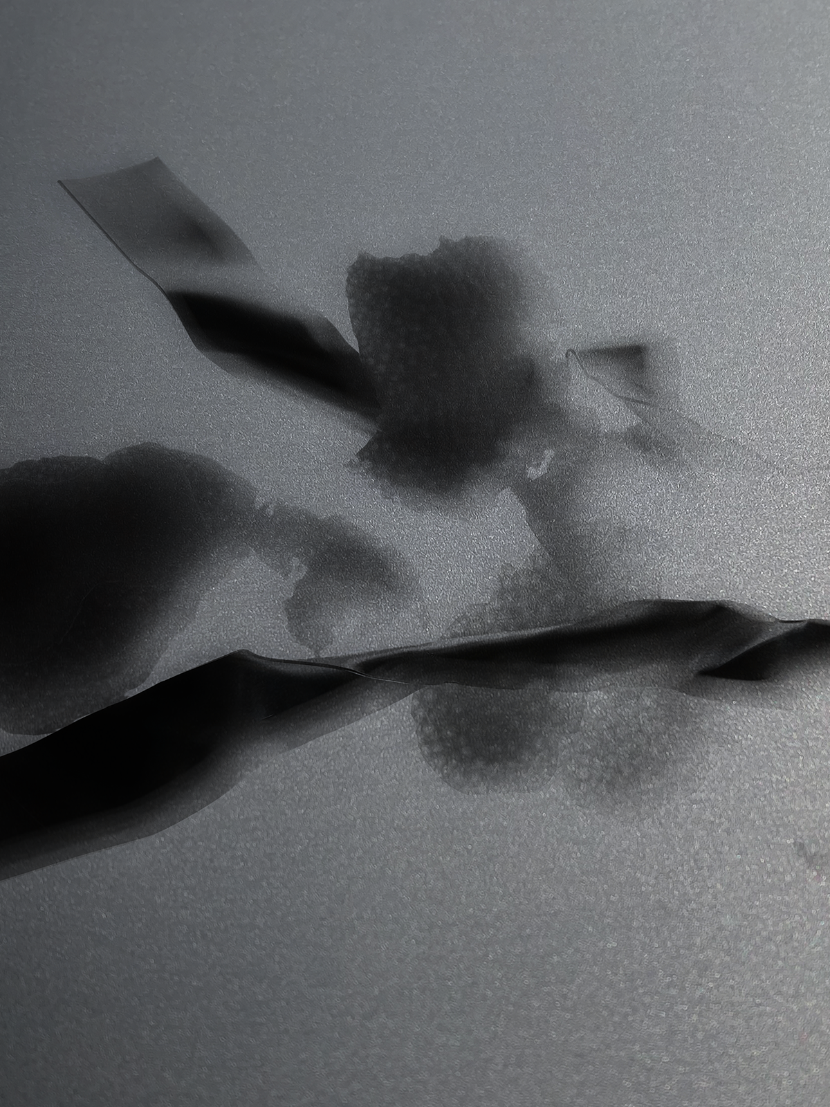 BLINDING LIGHTS EXTRAIT DE PARFUM 30ML image number 2